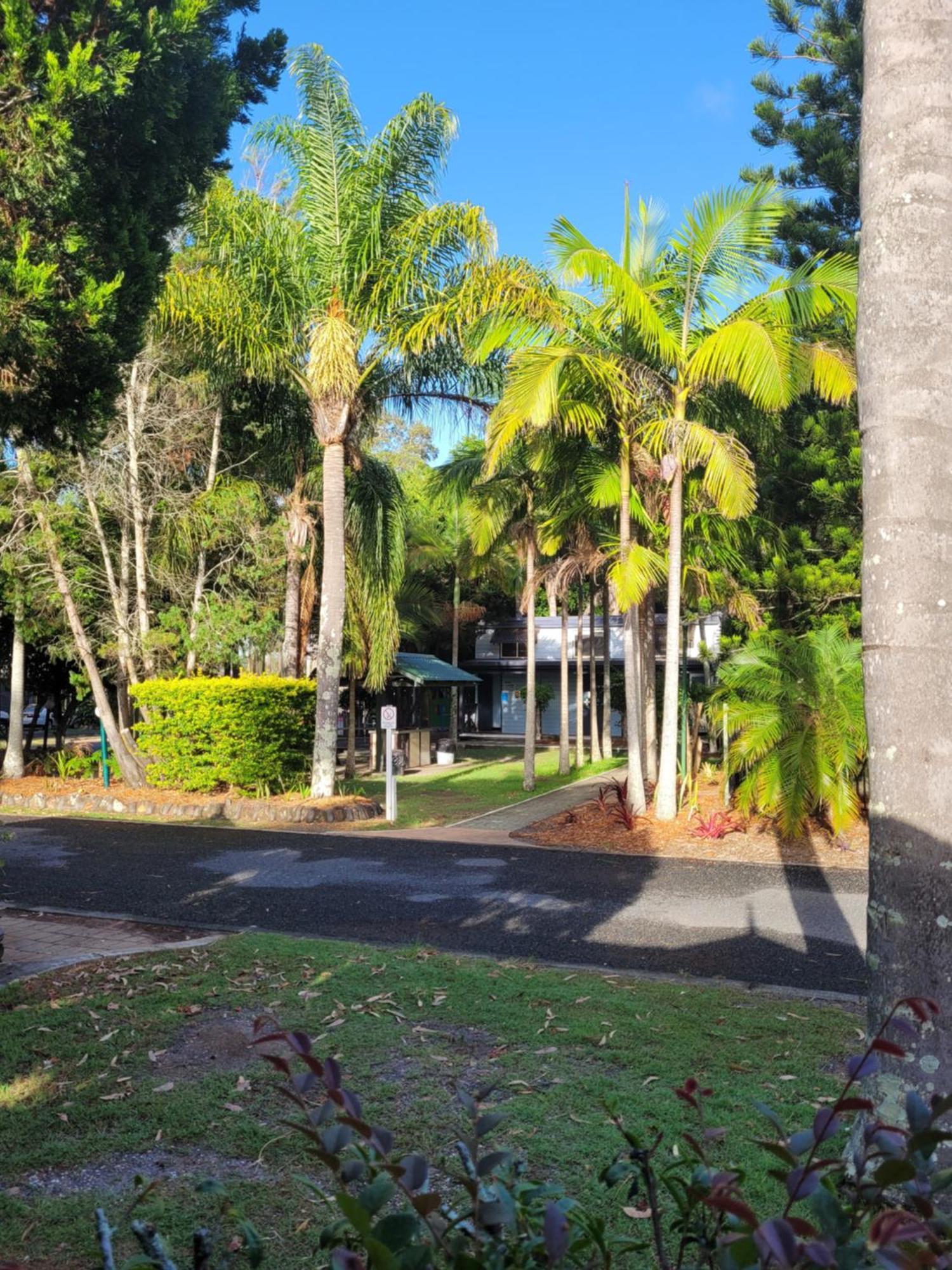 Lani'S Holiday Island Forster Buitenkant foto